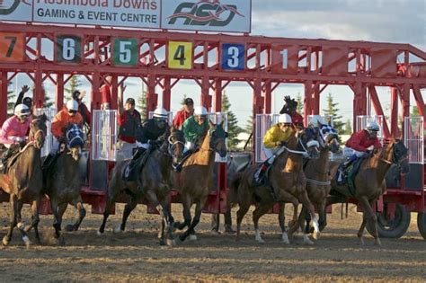 Assiniboia downs lights 1