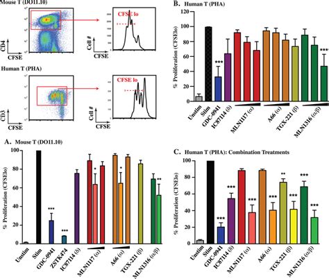 Atbin doroodchi  However, whether MEIS1 and BTBD9 interact in vivo is unclear