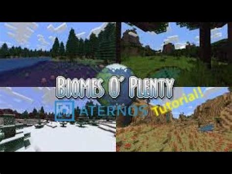 Aternos biomes o plenty  Vampie