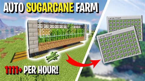 Auto sugarcane farm 1.19 18/1