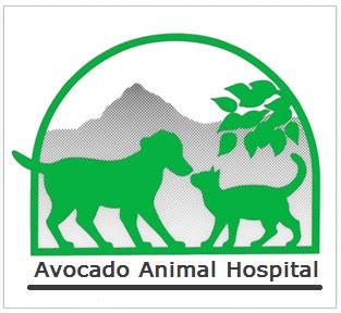 Avocado animal hospital fallbrook  Avocado Animal Hospital is your local Veterinarian in Fallbrook serving all of your needs