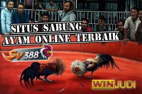 Ayam sabung online 86 merupakan tontonan yang segar dan dapat memacu adrenaline yang ditayangkan di NET