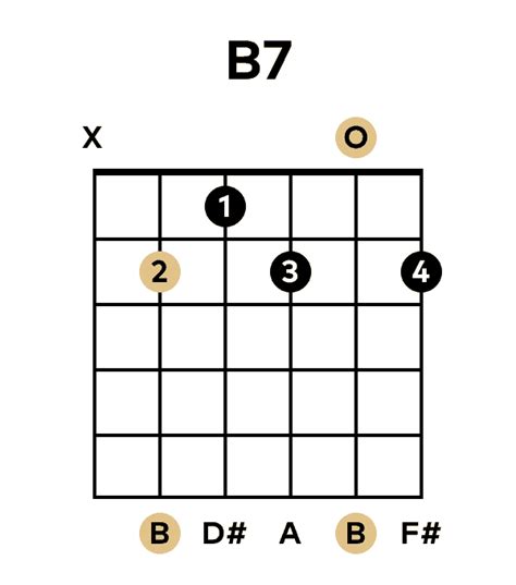 B7 chord guitar  Place your 2nd finger on the 2nd string/2nd fret