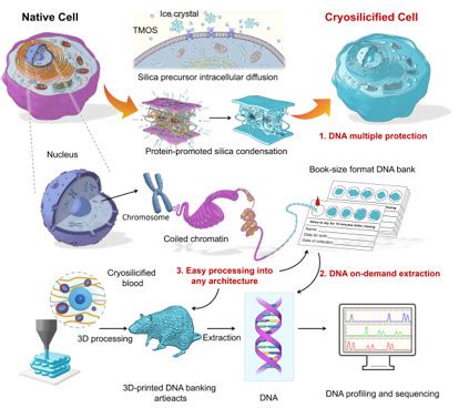 Backup dna bank ftl  From the DNA Center home page, click the gear icon () and then choose System Settings > Backup & Restore