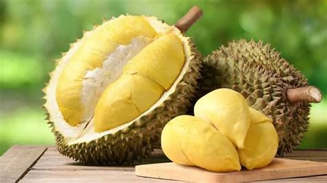 Bahasa inggrisnya durian brainly 