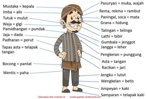 Bahasa krama badan  Berikut sepuluh nama anggota tubuh dalam bahasa Jawa Ngoko