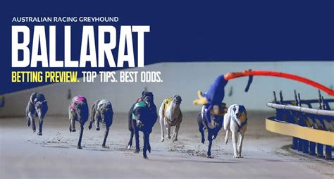 Ballarat greyhounds results today com our goal is to provide our players access to tools and data to improve their handicapping skill, be a better greyhound player, and ultimately, make winning wagers and cash more tickets