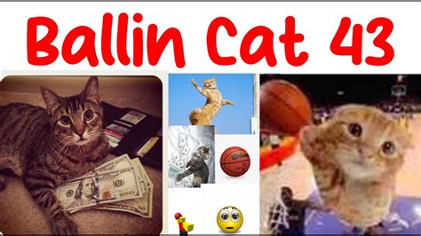 Ballin cat 43  43 () Includes selected options