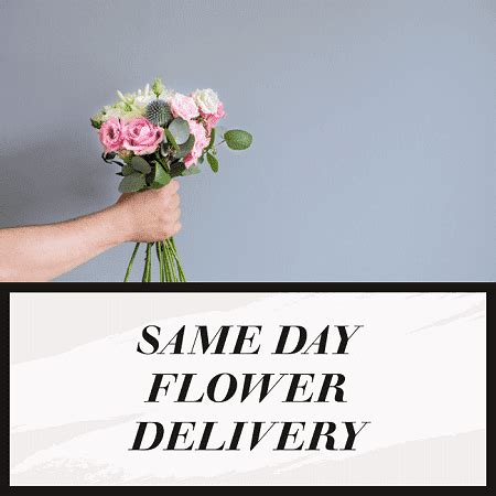 Ballina florist delivery  Our flowers are imported daily from around the world, from Holland, Israel, South Africa, Columbia, and Equador