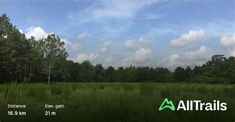 Bayard conservation area  Tract, near Green Cove Springs in North Central Florida is quite an outdoor gem for hiking, mountain biking and horseback riding