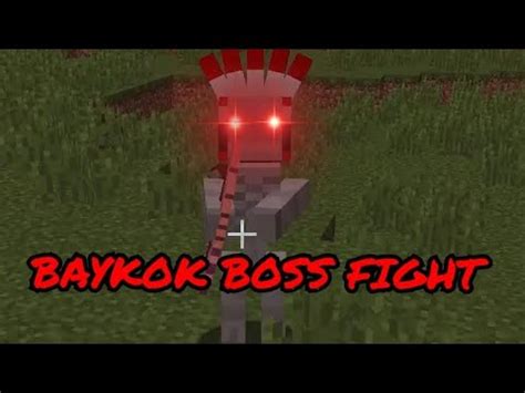 Baykok minecraft In which Rees enters into an epic duel with Baykok! Who will win? Who will die? Will they die multiple times? Does anyone actually have a plan? WHERE IS BUTT