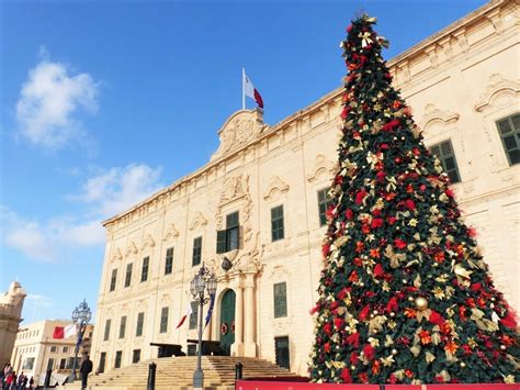 Baytree malta 7