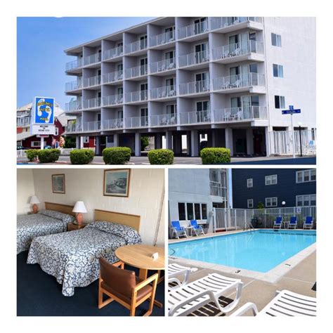 Beachcomber motel ocean city  Pets welcome: USD 20