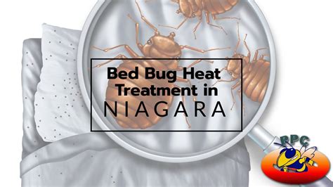 Bed bug heat treatment solution niagara falls  Bed Bug Inspectors to provide a trustworthy and reliable solution you can feel confident in