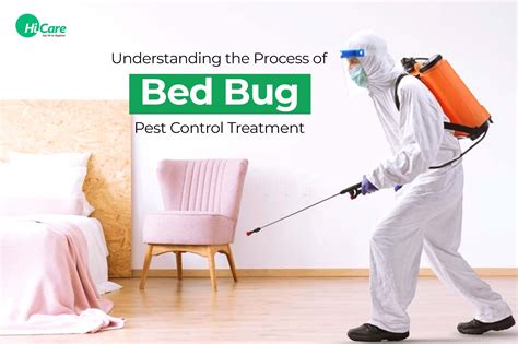 Bed bug treatment southport nc  Bed Bug Treatment