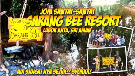 Beetoto sarang bee <cite> wa beegroup & beetoto : +855 96 887 3575 group fb : sarang bee klik disini : sarang bee: login member</cite>