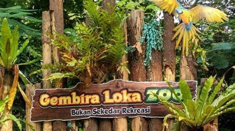 Beli tiket gembira loka online Gembira Loka Zoo (GL Zoo) Yogyakarta akan beroperasi kembali mulai Senin (3/8/2020)