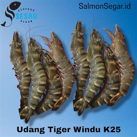 Beli udang hidup terdekat  Kiprah dan prinsip bisnisnya layak menjadi inspirasi kalangan perusahaan keluarga