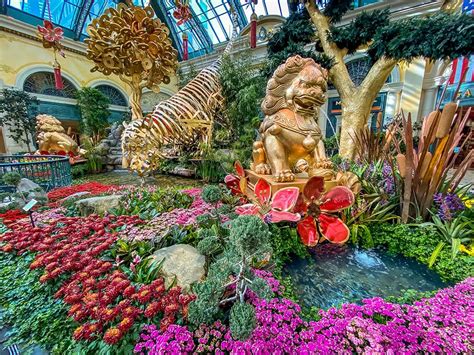 Bellagio botanical gardens price  LAS VEGAS (September 27, 2023) – Bellagio’s Conservatory & Botanical Gardens is embracing the grandeur of the autumn season with its newest display, “Enchantment: The Magic of Fall