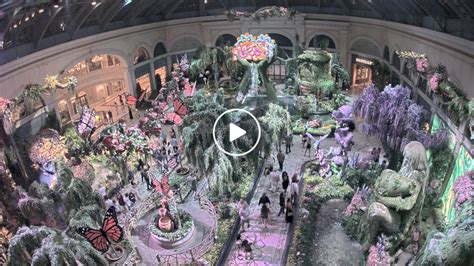 Bellagio conservatory webcam  You can see Main Street and the historical centre of the city full of parks, restaurants and festivals on the video
