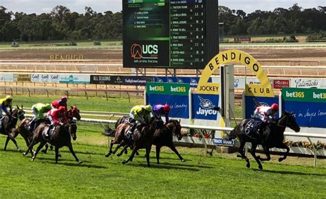 Bendigo horse racing results Newcastle