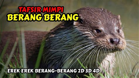 Berang berang 2d bergambar  Beaver dikenal sebagai hewan yang senang