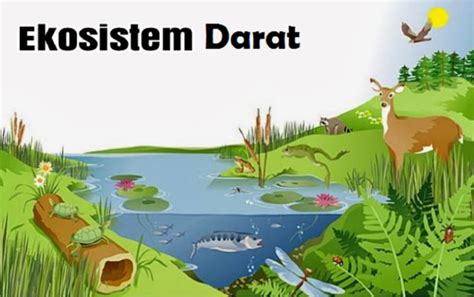 Berikan contoh produsen di ekosistem perairan dan ekosistem darat  Ekosistem air