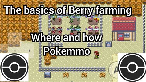 Berry farming guide pokemmo  Linoone has access to trick which can help when you're farming items (such as in the power plant should you be looking for Metal coat/Magnet/Light ball)