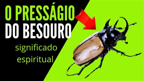 Besouro significado espiritual O besouro é um símbolo comum nos sonhos e pode representar transformação, renascimento ou persistência