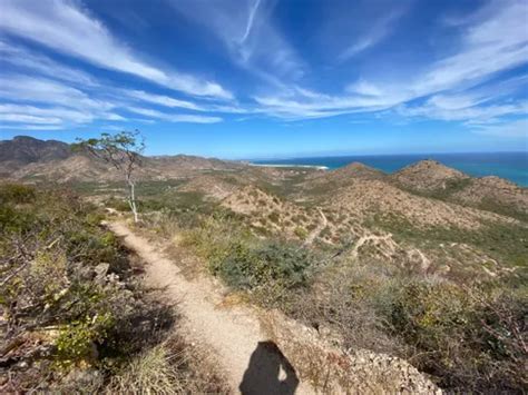 2024 Best 10 Trails and Hikes in Los Cabos Municipality AllTrails