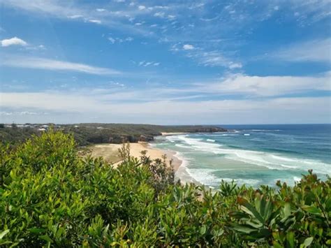 2024 Best 10 Walking Trails in Ulladulla AllTrails