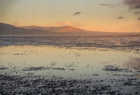 Best beaches in louth There are 10 Carlingford beaches to pick from