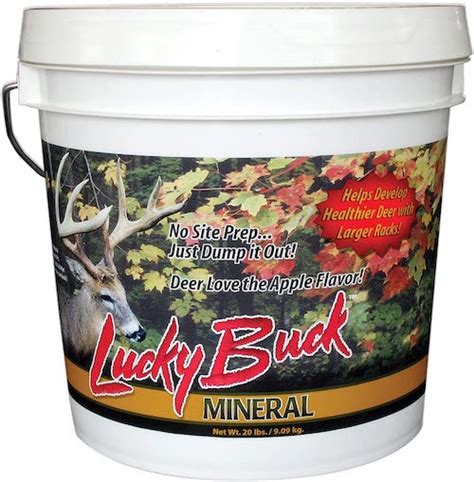 Best deer attractant 2021  An estimate from the state of 1