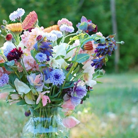 Best florist westleigh ” more