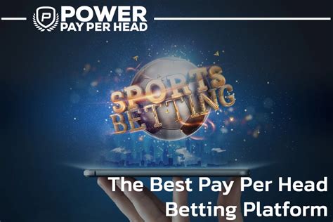 Best pay per head This is a service for bookies comprising different elements to help run their businesses and keep clients happy