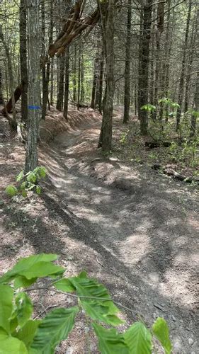 2024 Best trails in Assonet AllTrails