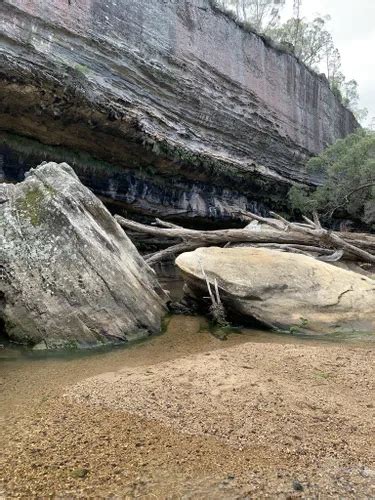 2024 Best trails in Goulburn River National Park AllTrails