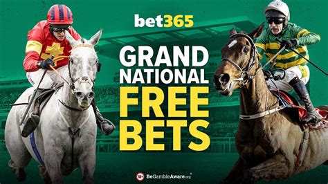 Bet365 grand national offer 2019  Grand National Free Bets On The Best