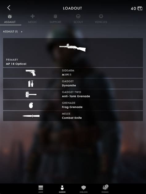 Bf1 companion  Then the app itself is named zzSUNSET Battlefield TM Companion