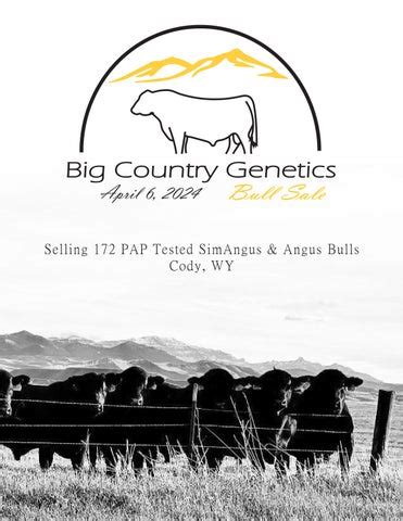 2024 Big Country Genetics Bull Sale Catalog - Issuu