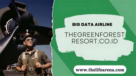 Big data airline  thegreenforestresort.  co.id id, a site made for Indonesian business
