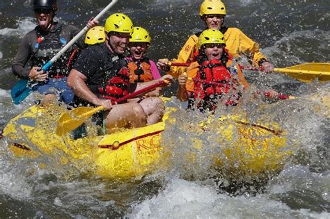 Bighorn sheep rafting Skip to main content