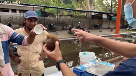 Binatangnya badannya gembul BeritaHits