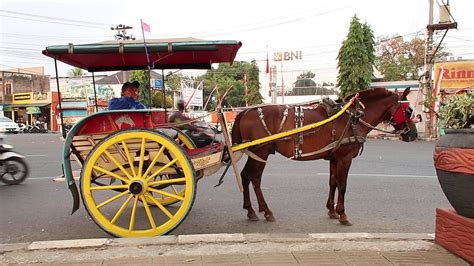 Binatangnya menarik delman  (3) dan (1) D