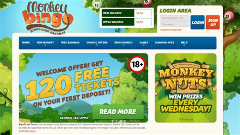 Bingo sites paypal  30 day expiry from deposit