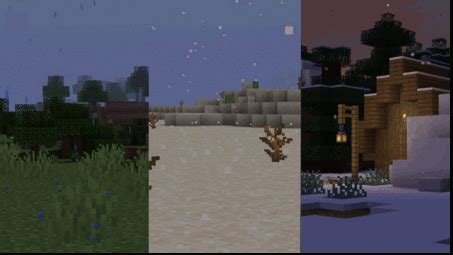 Biome particle weather 19 +1