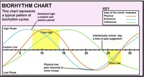 Biorythm chart  Each biorhythm is a sine wave which represents the rise and fall of a specific human ability