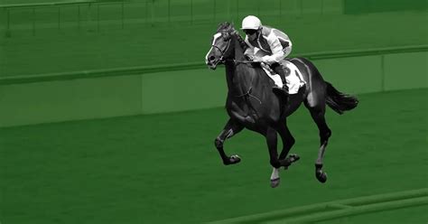 Blackpool promotions grand national  BOOK NOW