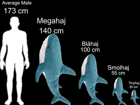 Blahaj size  That shark is in the typing zone