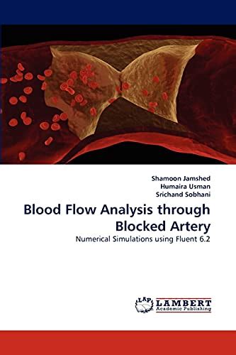 Blood Flow Analysis through Blocked Artery: Numerical Simulations using  Fluent 6.2